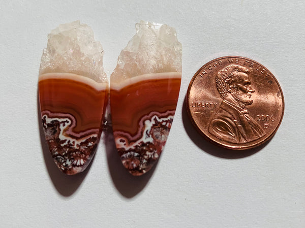 Crazy Lace Agate Z 110