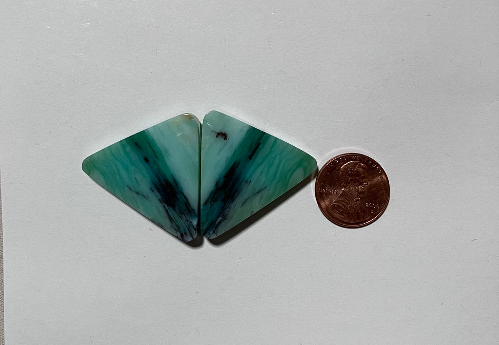 Blue Opal Petrified Wood Pair V 95