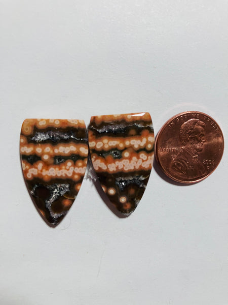 Ocean Jasper Pair V 573