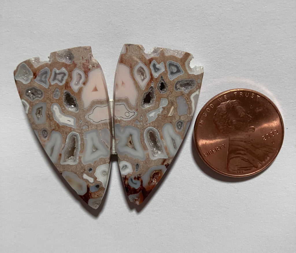 V 125 Fossil Palm /Drusy Pockets / Pair