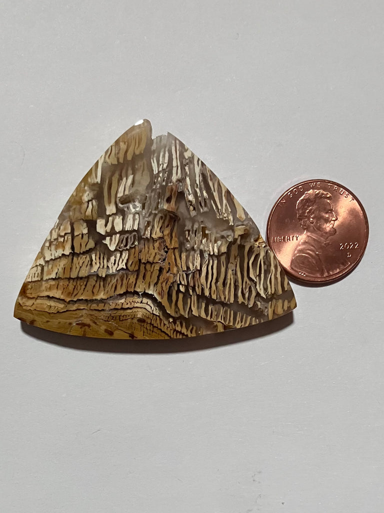 V 170 Howardite Pendant with Drusy pockets