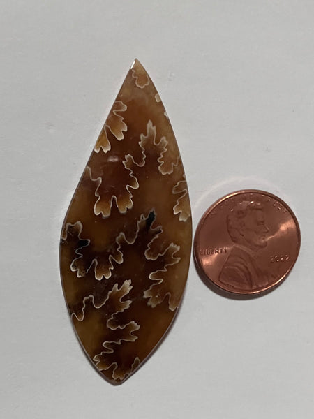 V 174 Ammonite Suture/Leaf  Pendant