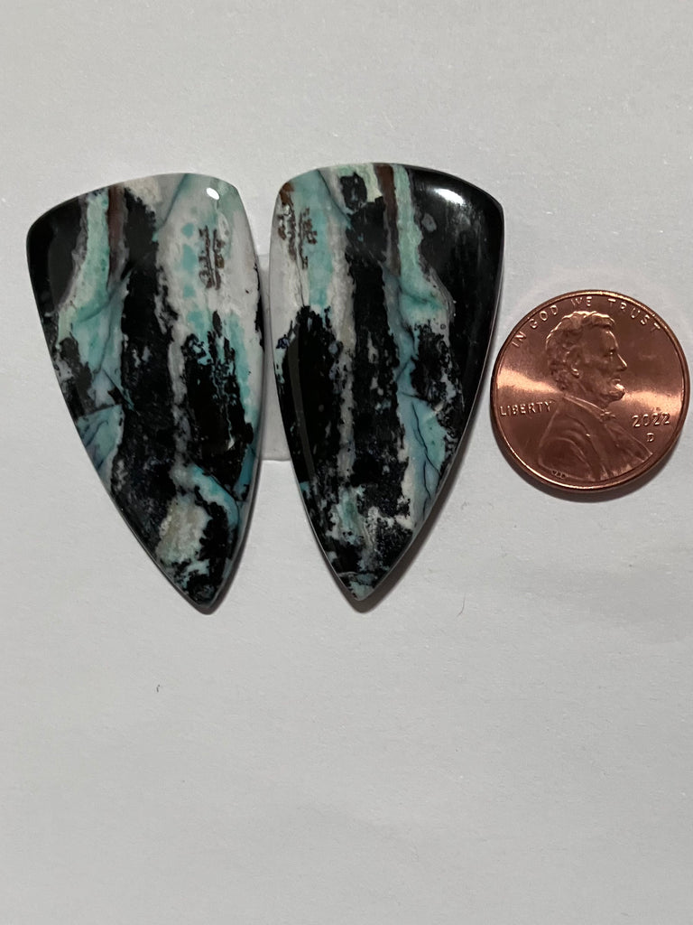 V 654 Blue Opal Petrified Wood Pair