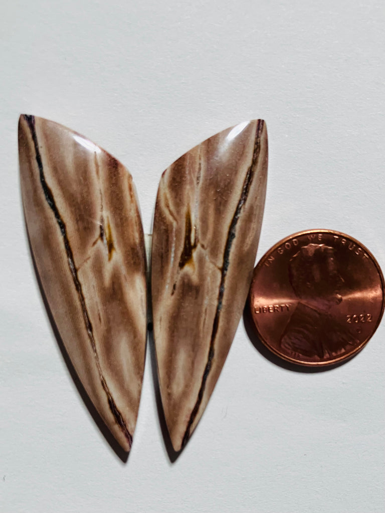 P 1042 Petrified Wood Pair