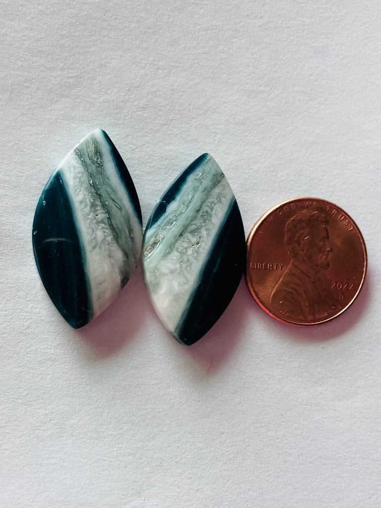 P 1046 Petrified Wood