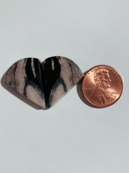 Spalted Petrified Wood Pair Y 277