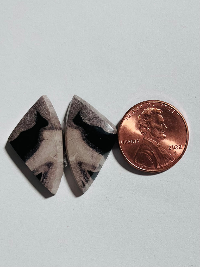 Spalted Petrified Wood Pair Y 297